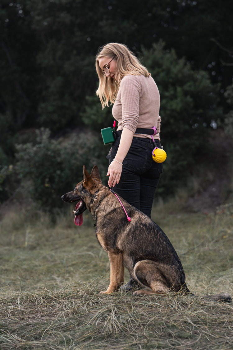 Dog Training