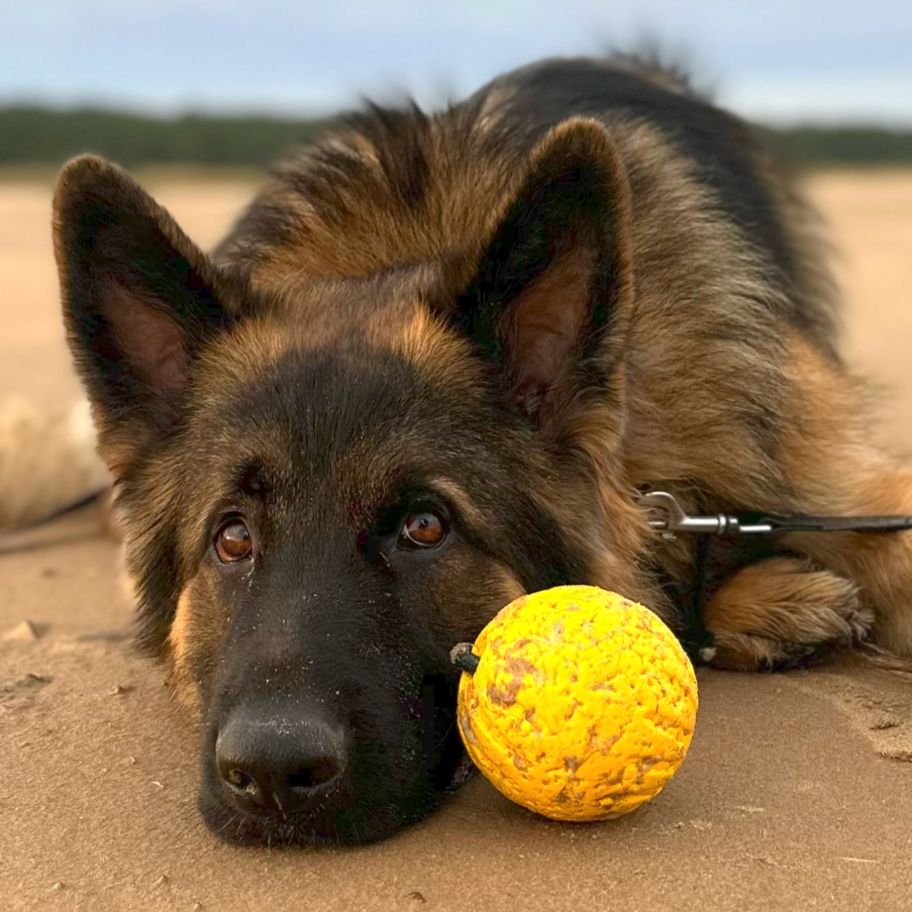 Custom Durafoam Ball